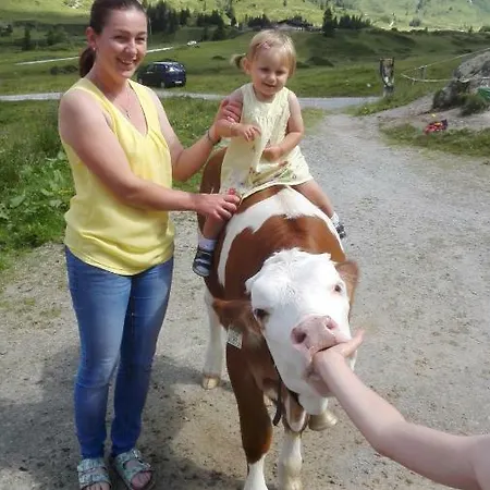 Moisesgut Фермерський будинок Бад-Гофгаштайн