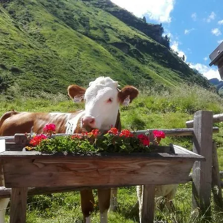 Moisesgut Bauernhof *