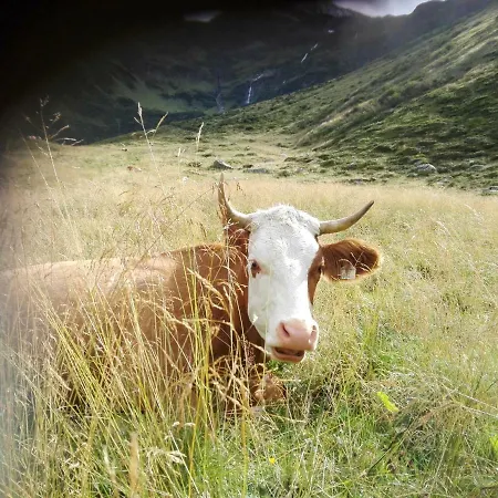 Moisesgut * Бад-Гофгаштайн